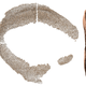 Computer-generated front and views showing the distribution of eye denticles on a whale shark eye.
